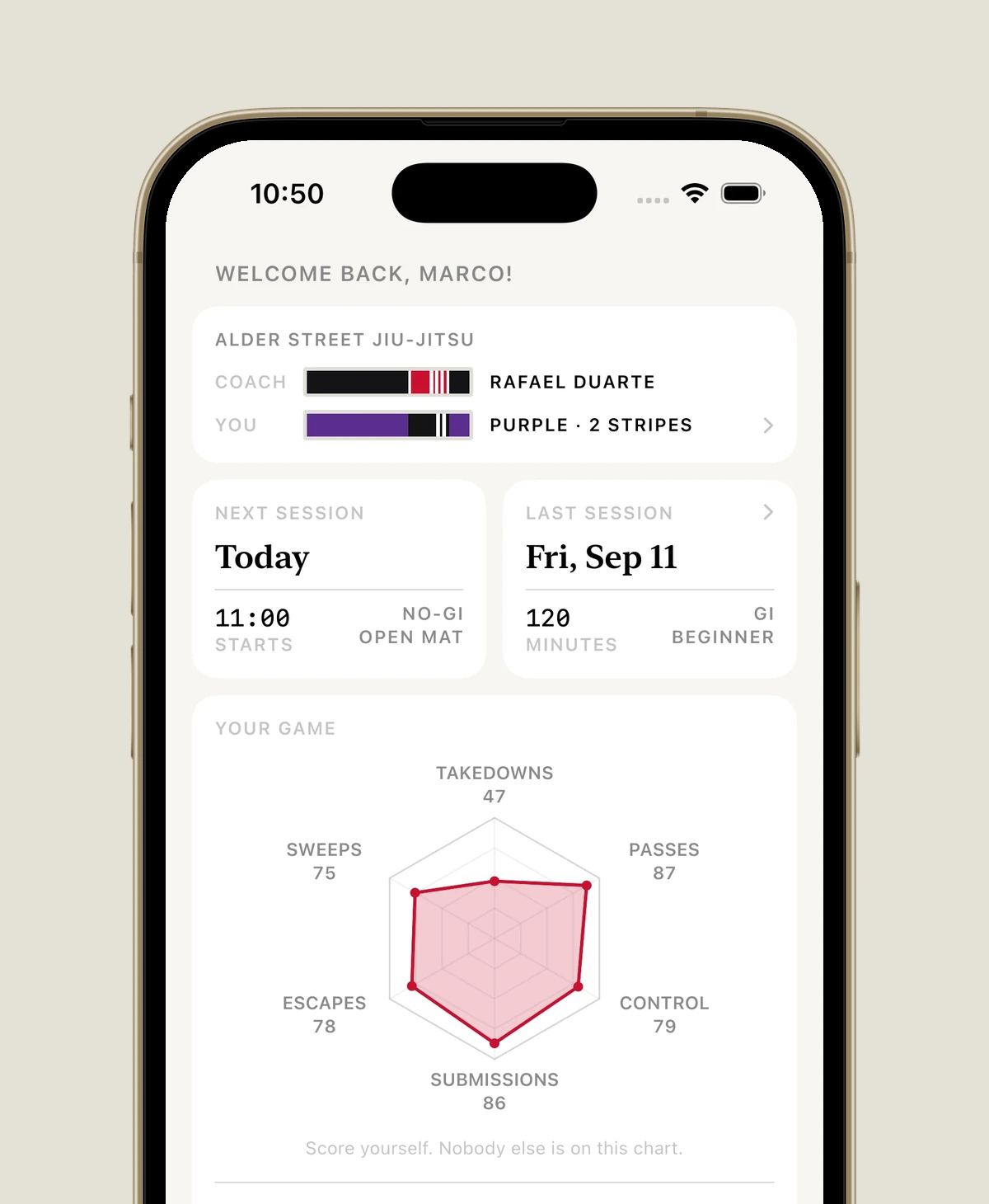 Home: a purple belt with two stripes at Alder Street Jiu-Jitsu, the next and last sessions side by side, a radar leaning to passes and submissions and away from takedowns, and a year of training days as a density grid.